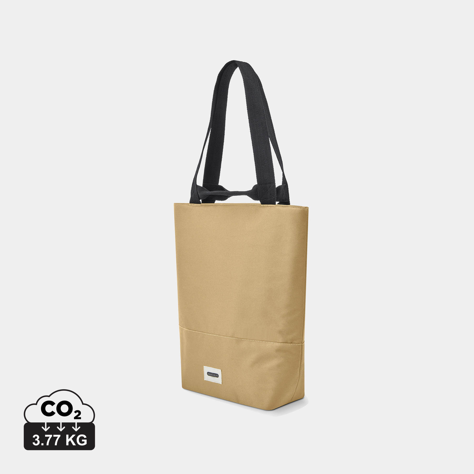 16L Insulated Tote Cooler Bag